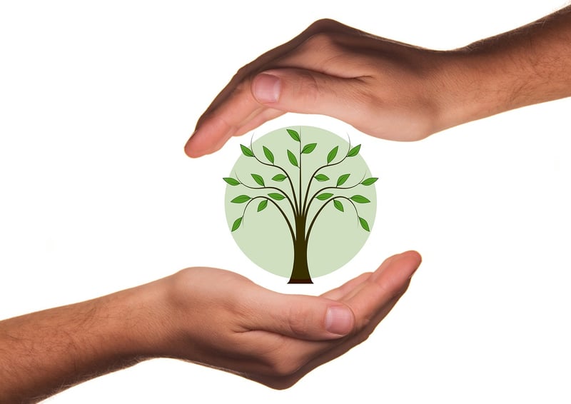 Eco-friendly crafting